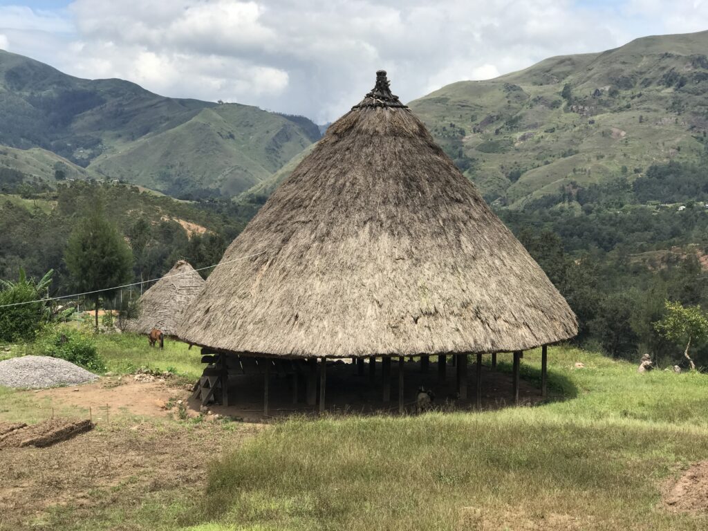 Picture of traditional houses in East Timor